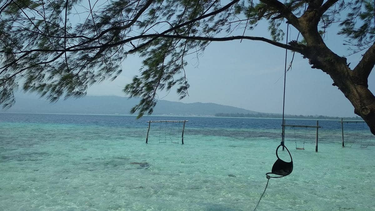 5 Fakta Unik Pulau Menjangan Kecil di Karimunjawa, Ada Hiu Jinak