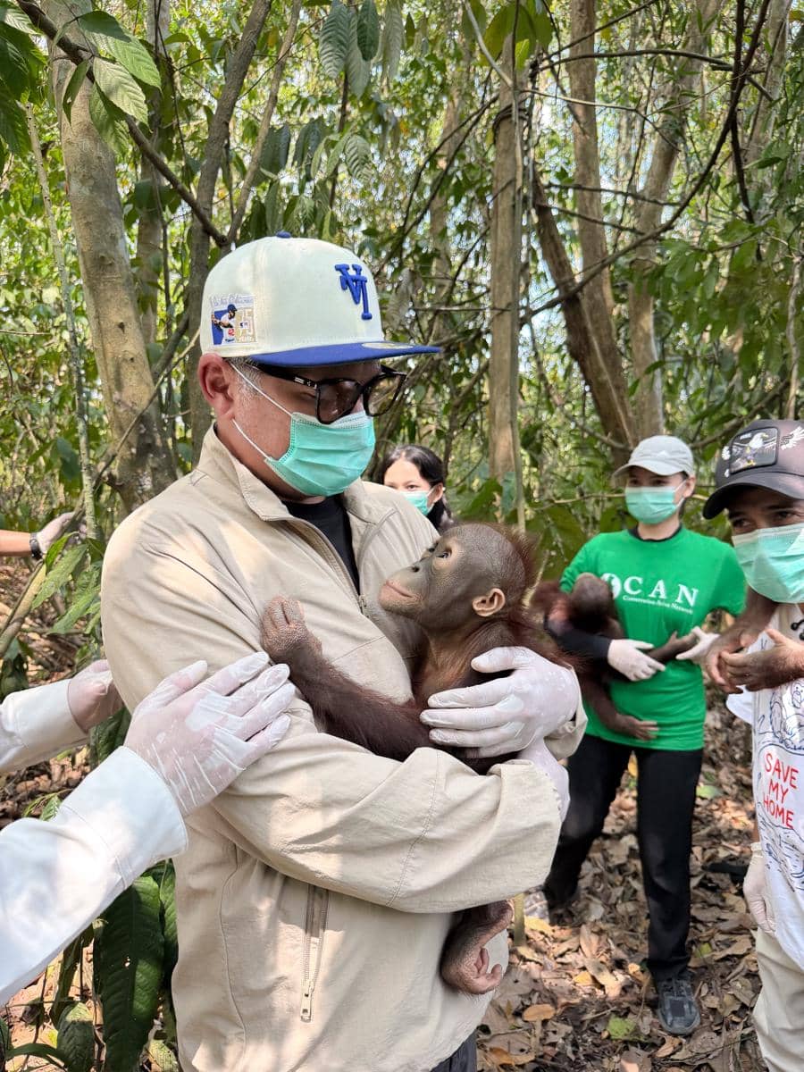 Raffi Ahmad mengunjungi pusat rehabilitasi orang utan di Berau