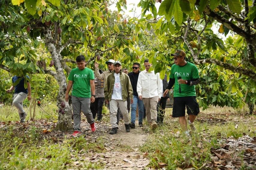 Raffi Ahmad mengunjungi pusat rehabilitasi orang utan di Berau