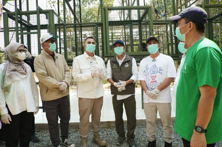 Raffi Ahmad mengunjungi pusat rehabilitasi orang utan di Berau