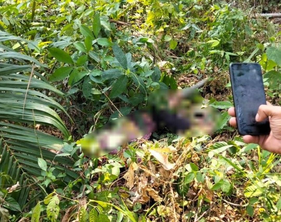 Tangkapan layar percakapan Telegram terkait penemuan korban Andre tewas di kebun sawit Desa Mekar Jaya.