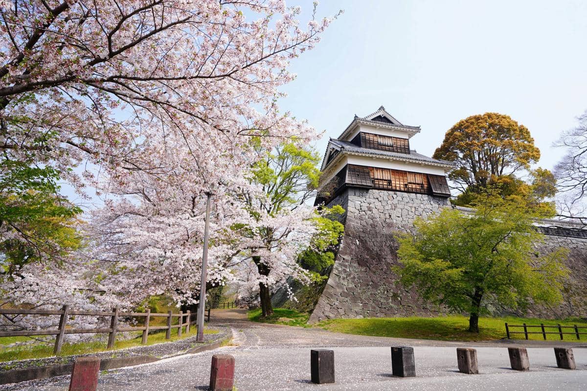 ilustrasi Kumamoto, Jepang