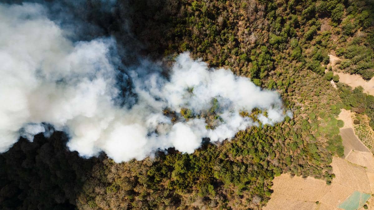 1.211 Hotspot Terdeteksi di ASEAN, Mayoritas di Kalimantan