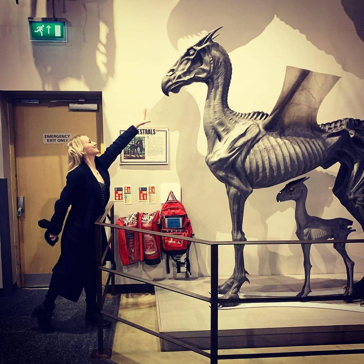 Profil Evanna Lynch