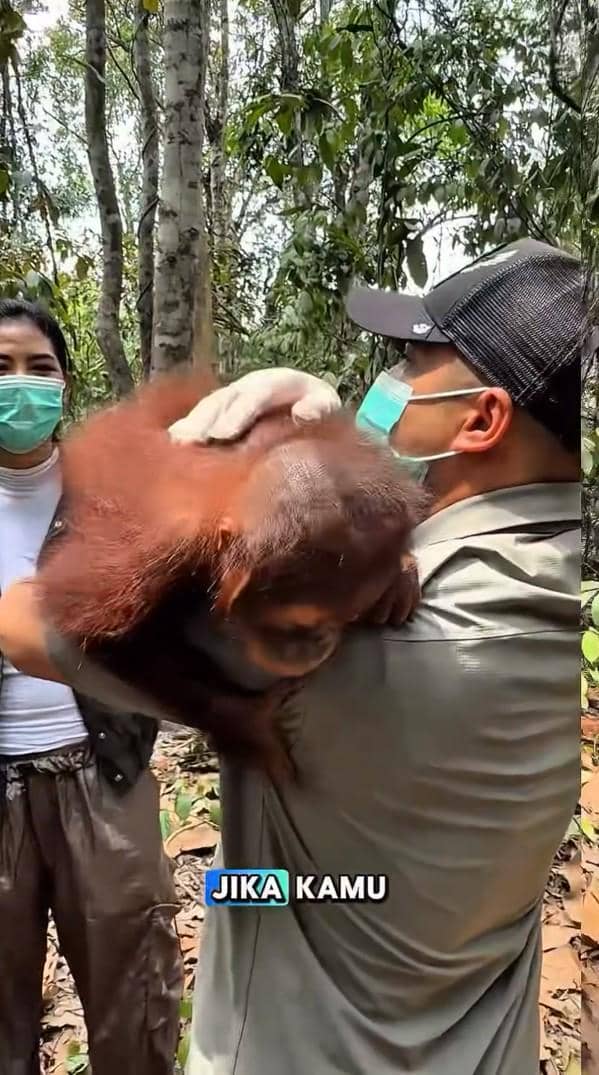 Irfan Hakim bertemu orangutan di hutan Kalimantan (instagram.com/irfanhakim75)