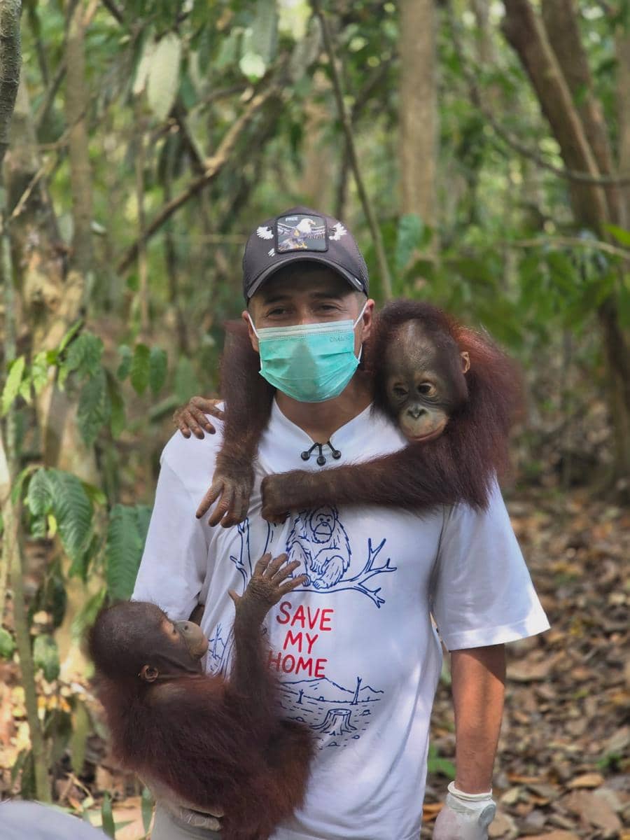 Irfan Hakim bertemu orangutan di hutan Kalimantan (instagram.com/irfanhakim75)