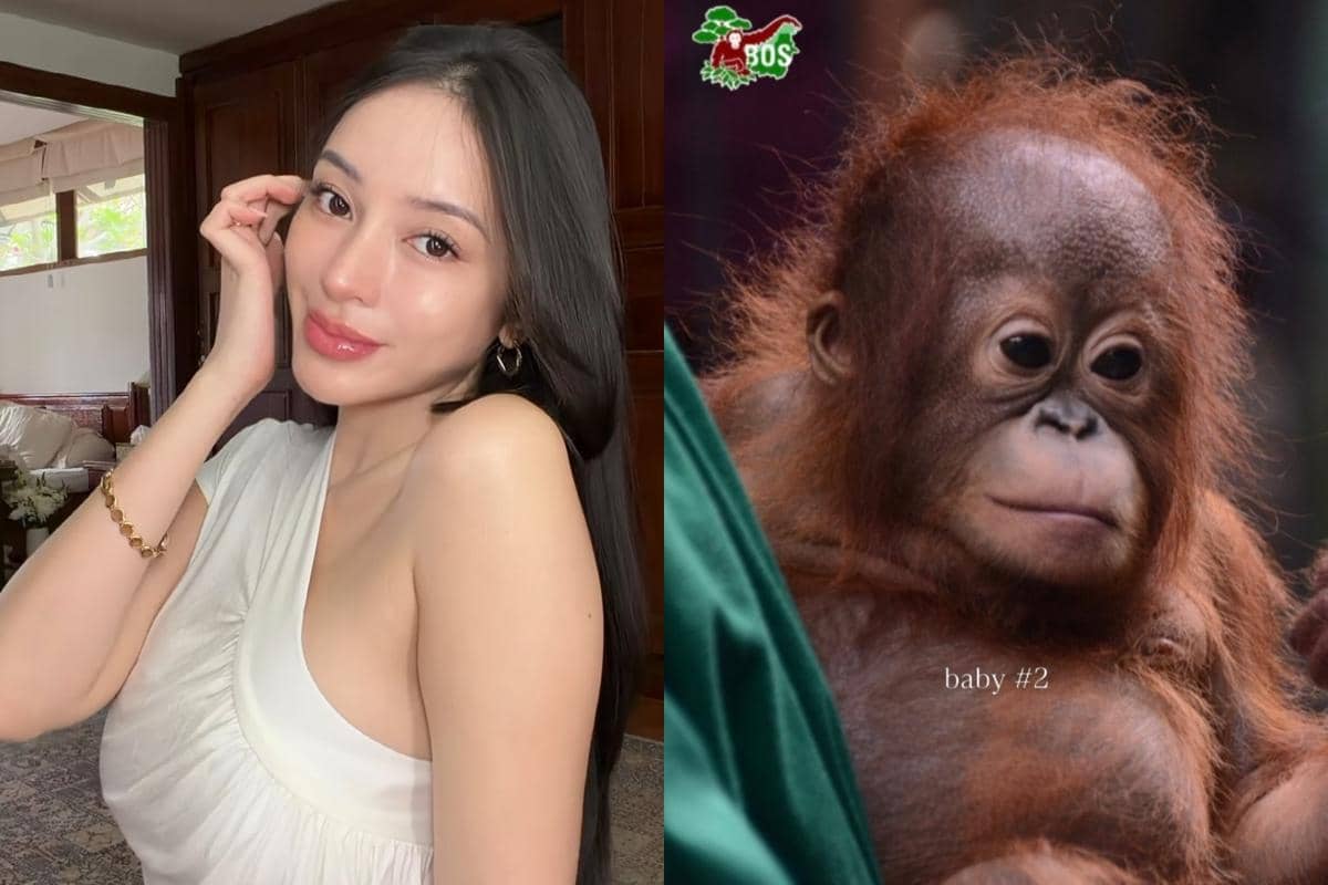 Amanda Zahra Adopsi Orangutan Kalimantan, Gimana Cara Ikutannya?