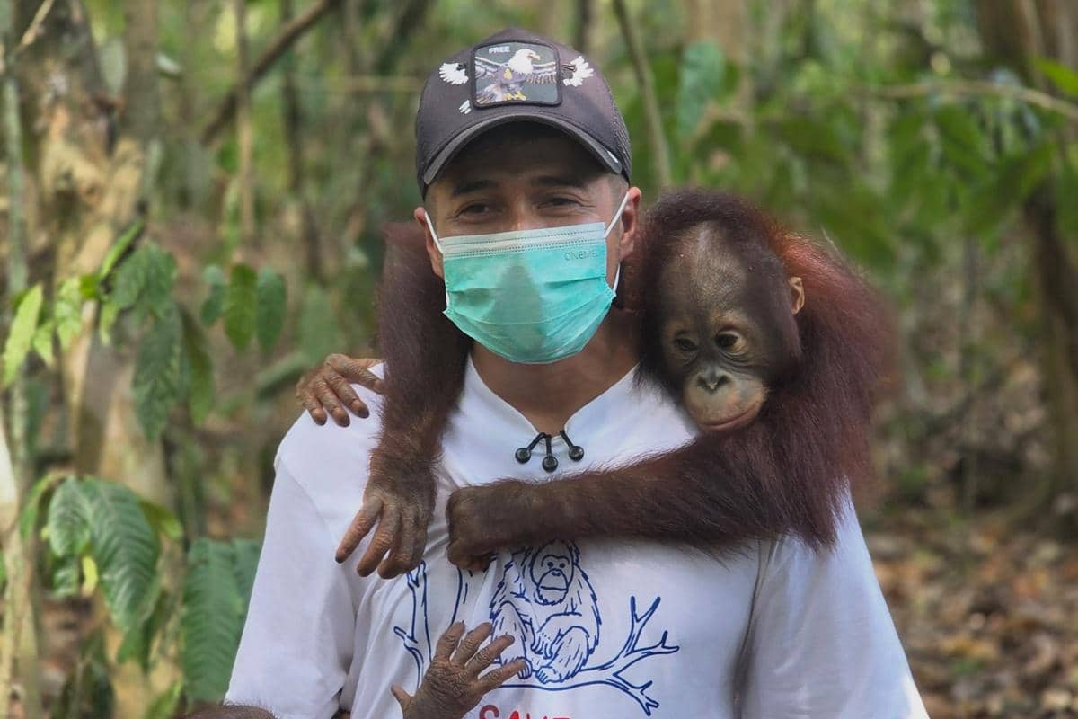 Irfan Hakim Main Bareng Orangutan di Hutan Kalimantan, Manja Digendong