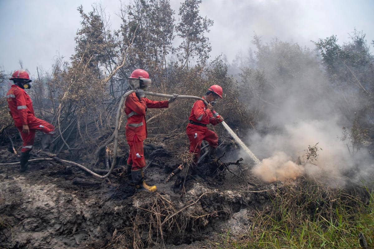 Pemadaman Karhutla di kawasan Gambut di Desa Kota Bumi, Kecamatan Tanjung Lubuk, Ogan Komering Ilir (OKI) ANTARA FOTO/Nova Wahyudi