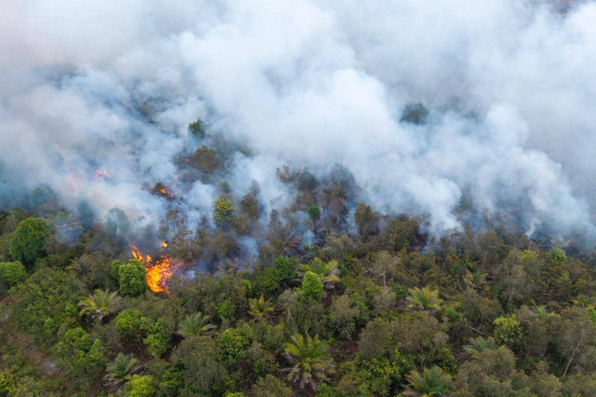 Pemadaman Karhutla di kawasan Gambut di Desa Kota Bumi, Kecamatan Tanjung Lubuk, Ogan Komering Ilir (OKI) ANTARA FOTO/Nova Wahyudi