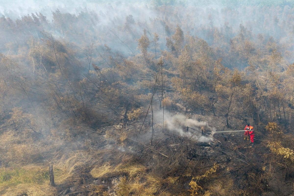Kasus ISPA Naik akibat Karhutla, Kemenkes Lakukan Sejumlah Tindakan
