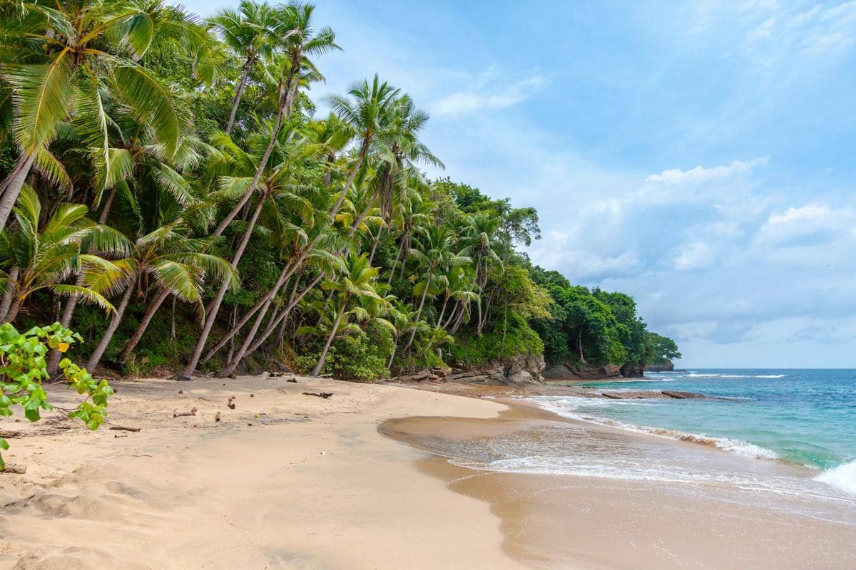 ilustrasi pantai