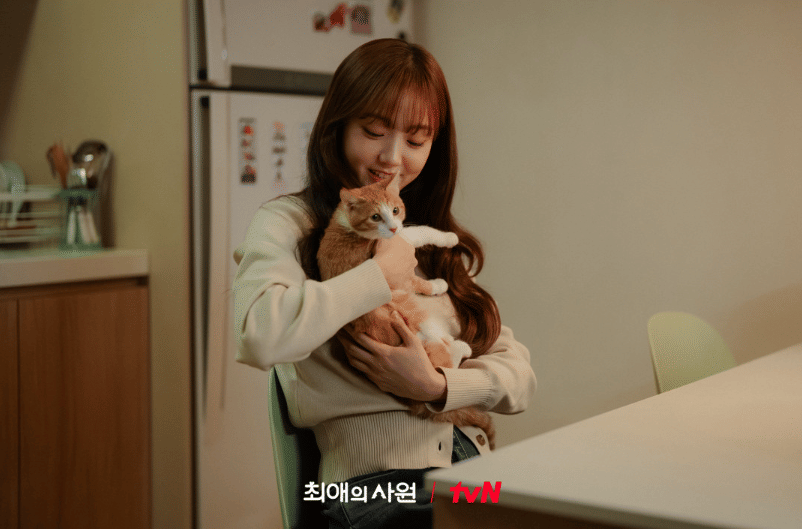 3 Makna Tersirat Adegan Merawat Kucing Terlantar di My Bias, My Boss