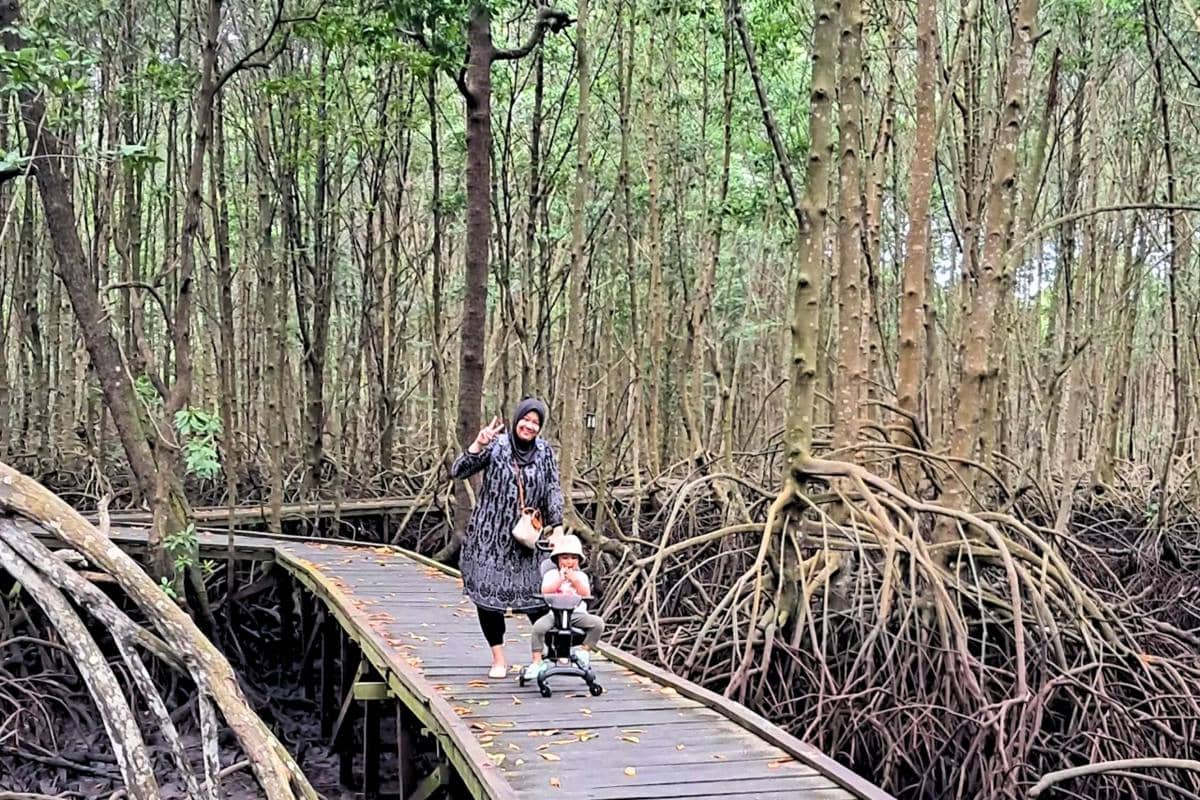 Selain Tanjung Puting, 5 Taman Nasional di Kalimantan Ini Patut Dijelajahi