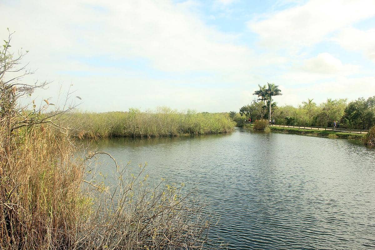 potret The Everglades, Amerika Serikat