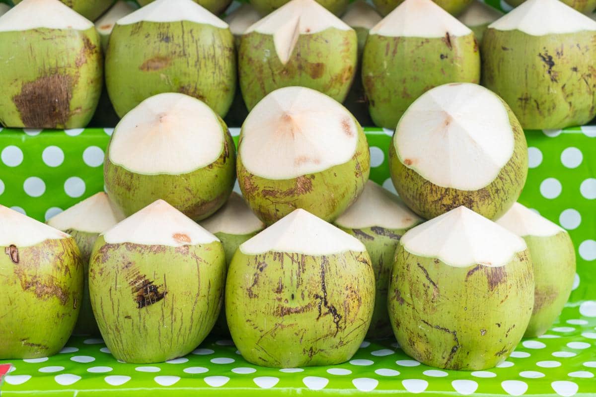 Ilustrasi kelapa muda dengan daging putih dan air segar, dikenal sebagai bahan minuman tropis yang menyegarkan.