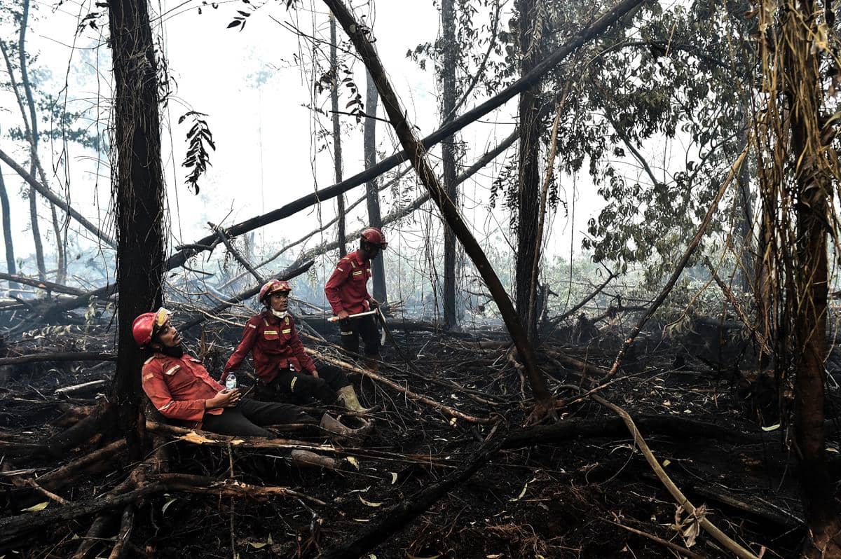 Hotspot Karhutla Naik Jadi 18.065, Kemenhut Tetap Siaga