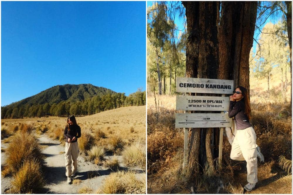 Bella Graceva Berkeliling Cemoro Kandang di Pendakian Gunung Semeru