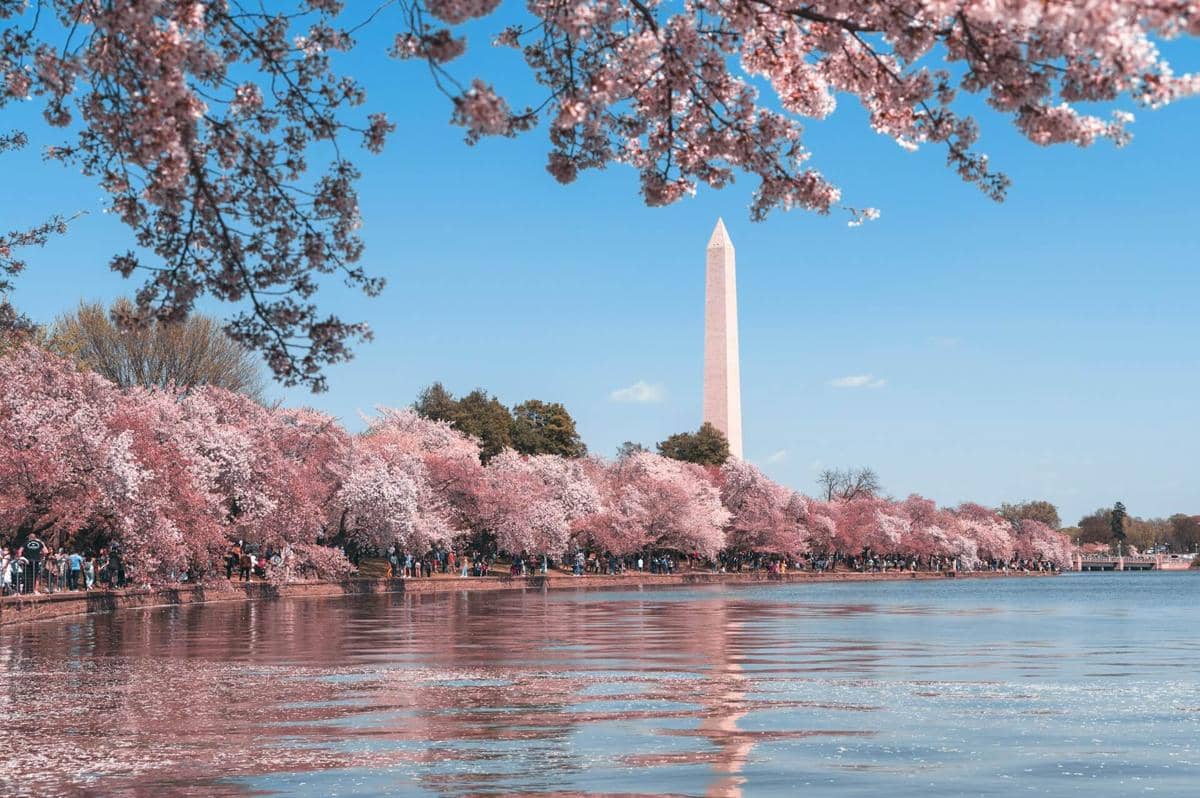 ilustrasi Washington DC, Amerika Serikat