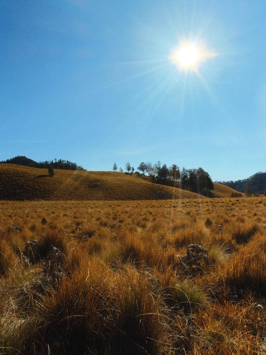 Bella Graceva berada di jalur Cemoro Kandang saat pendakian Gunung Semeru, dikelilingi lanskap pegunungan.