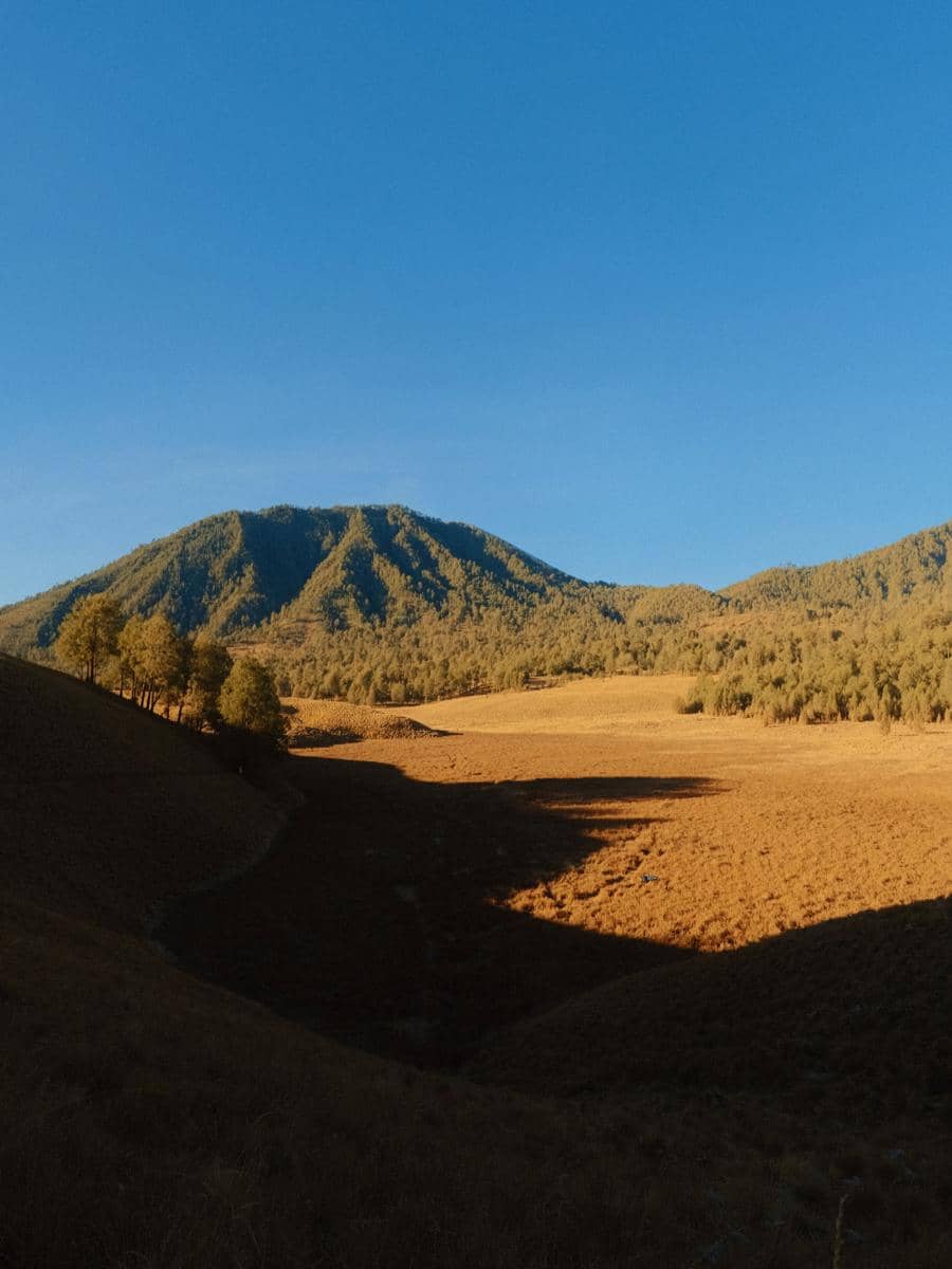 Bella Graceva berjalan di jalur Cemoro Kandang saat pendakian Gunung Semeru, dikelilingi lanskap pegunungan.