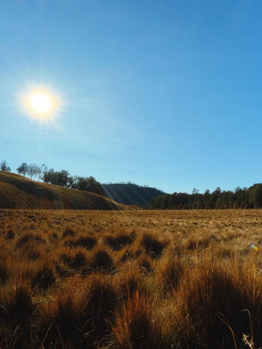 Bella Graceva menikmati kawasan Cemoro Kandang dalam pendakian Gunung Semeru dengan latar lanskap pegunungan hijau.