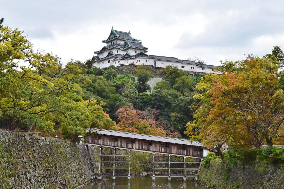 3 Cara ke Wakayama dari Osaka Naik Transportasi Umum Jepang