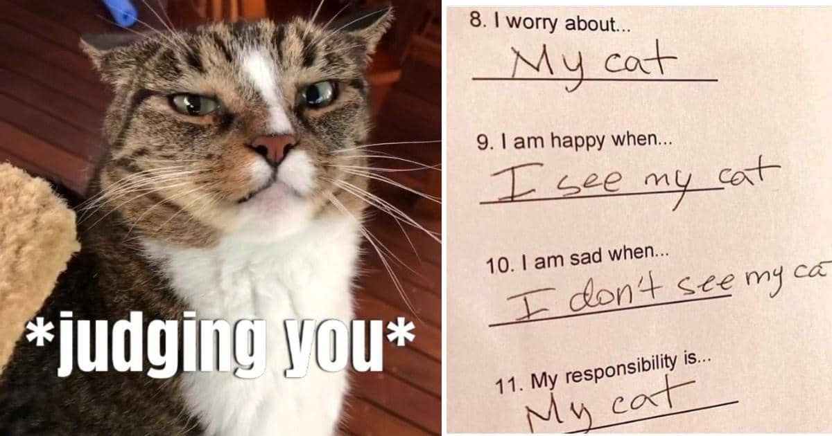 meme kucing tentang tanggung jawab