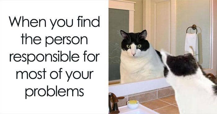 8 Meme Kucing tentang Tanggung Jawab, Kesadaran Diri Babu