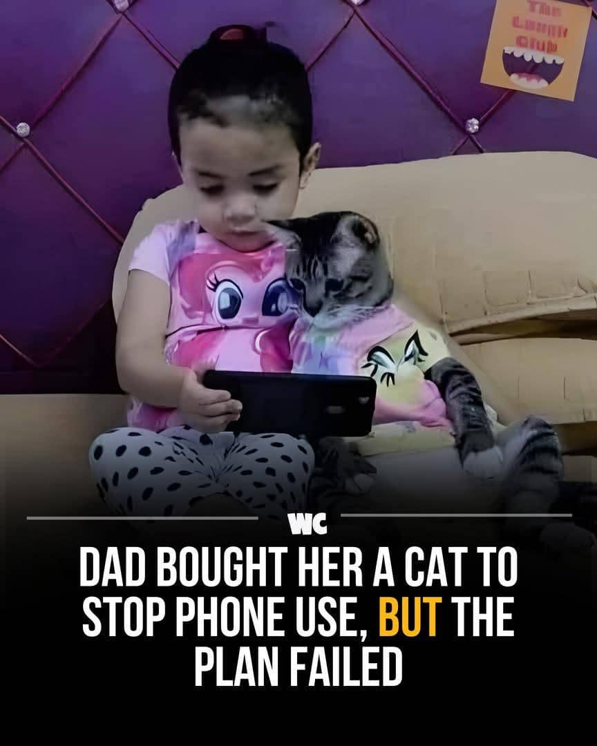 Meme kucing dengan teks humor tentang rencana yang berubah saat kucing ikut terlibat dalam kegiatan sehari-hari.