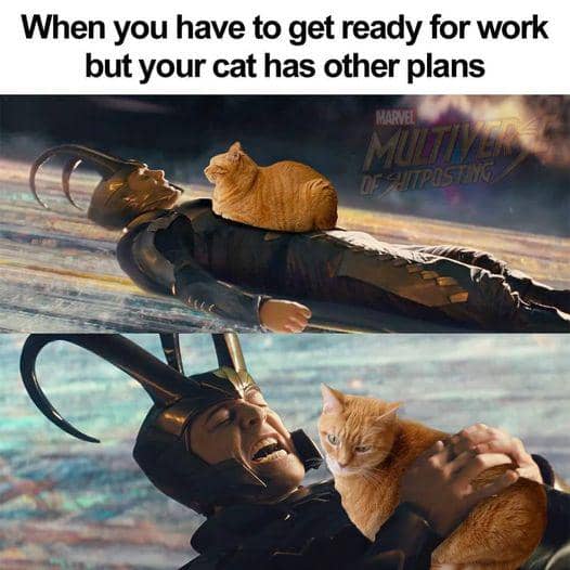 Meme kucing tentang rencana yang berubah, memakai ekspresi kucing untuk menggambarkan harapan dan kenyataan.