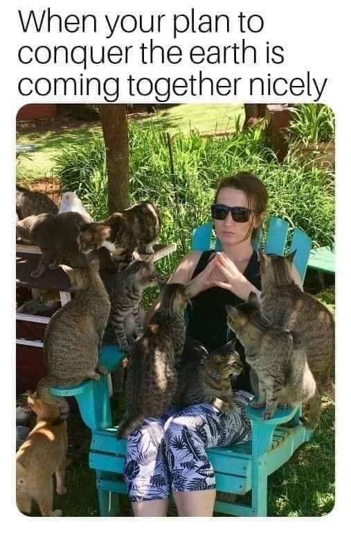 Meme seekor kucing dengan teks tentang rencana, menyoroti perubahan rencana yang terjadi dalam kehidupan.