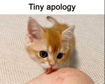 meme kucing tentang tanggung jawab