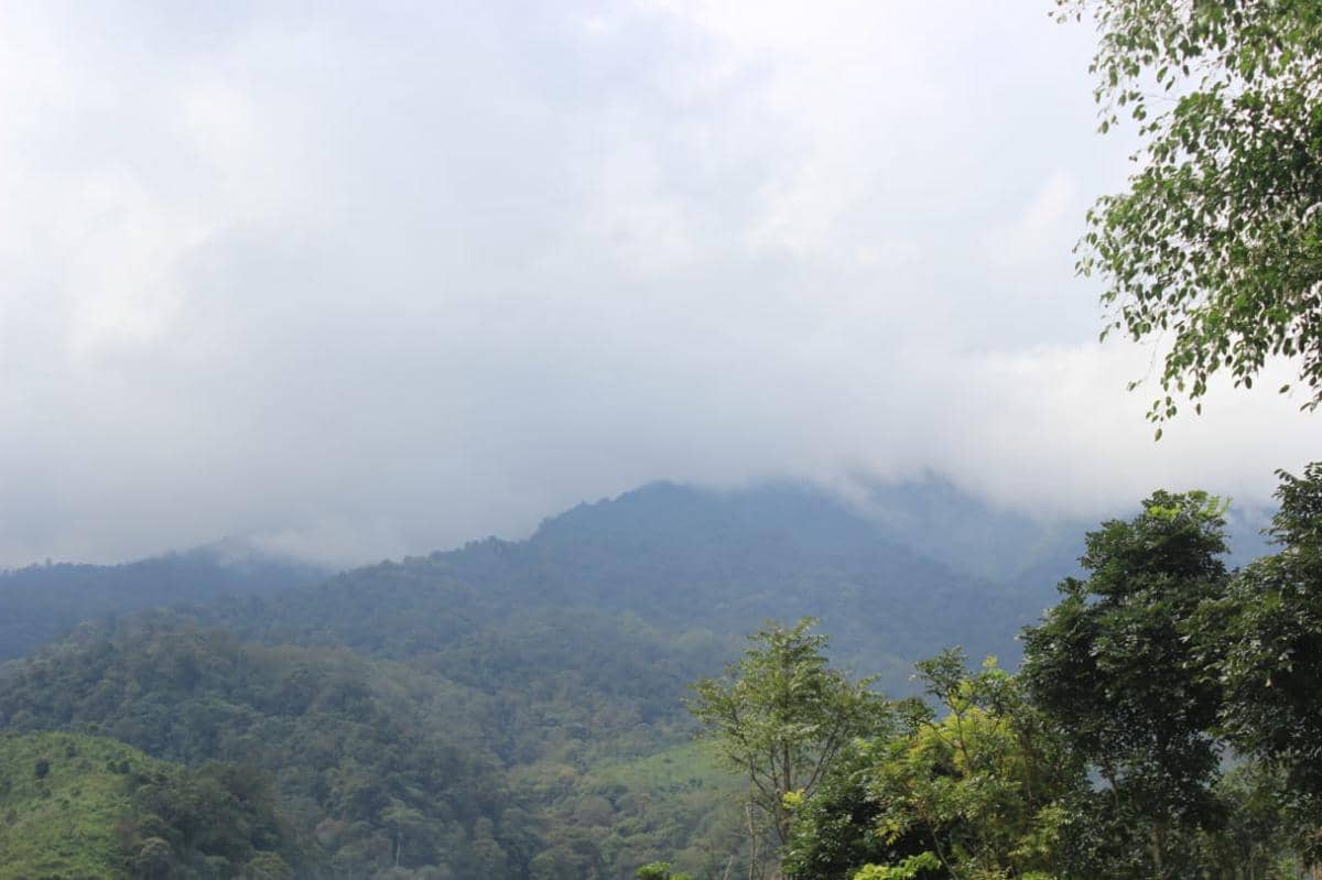 4 Fakta Gunung Butak, Destinasi Padang Sabana yang Memukau di Jawa Timur!