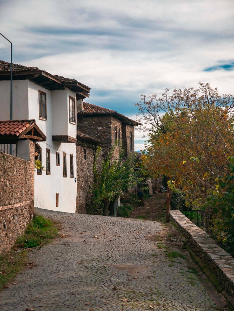 Birgi, Turki