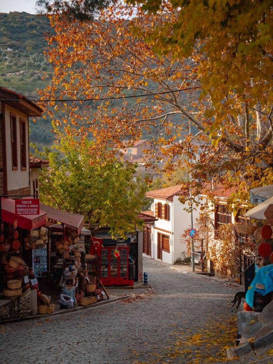 Birgi, Turki