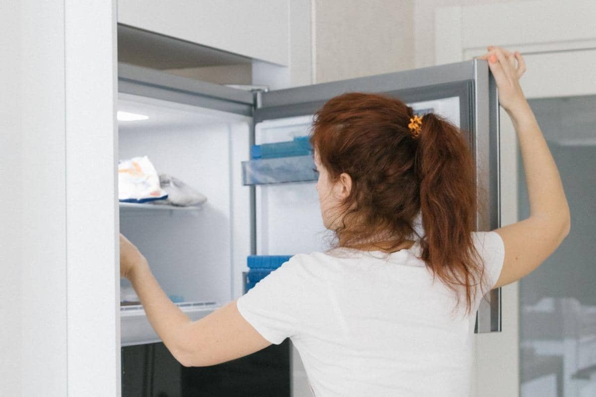 ilustrasi menaruh buku dalam freezer
