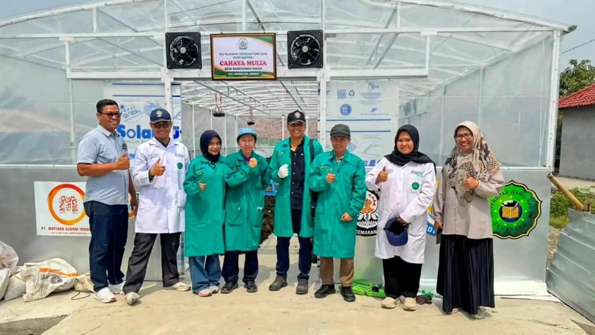 undip, rumput laut, inovasi