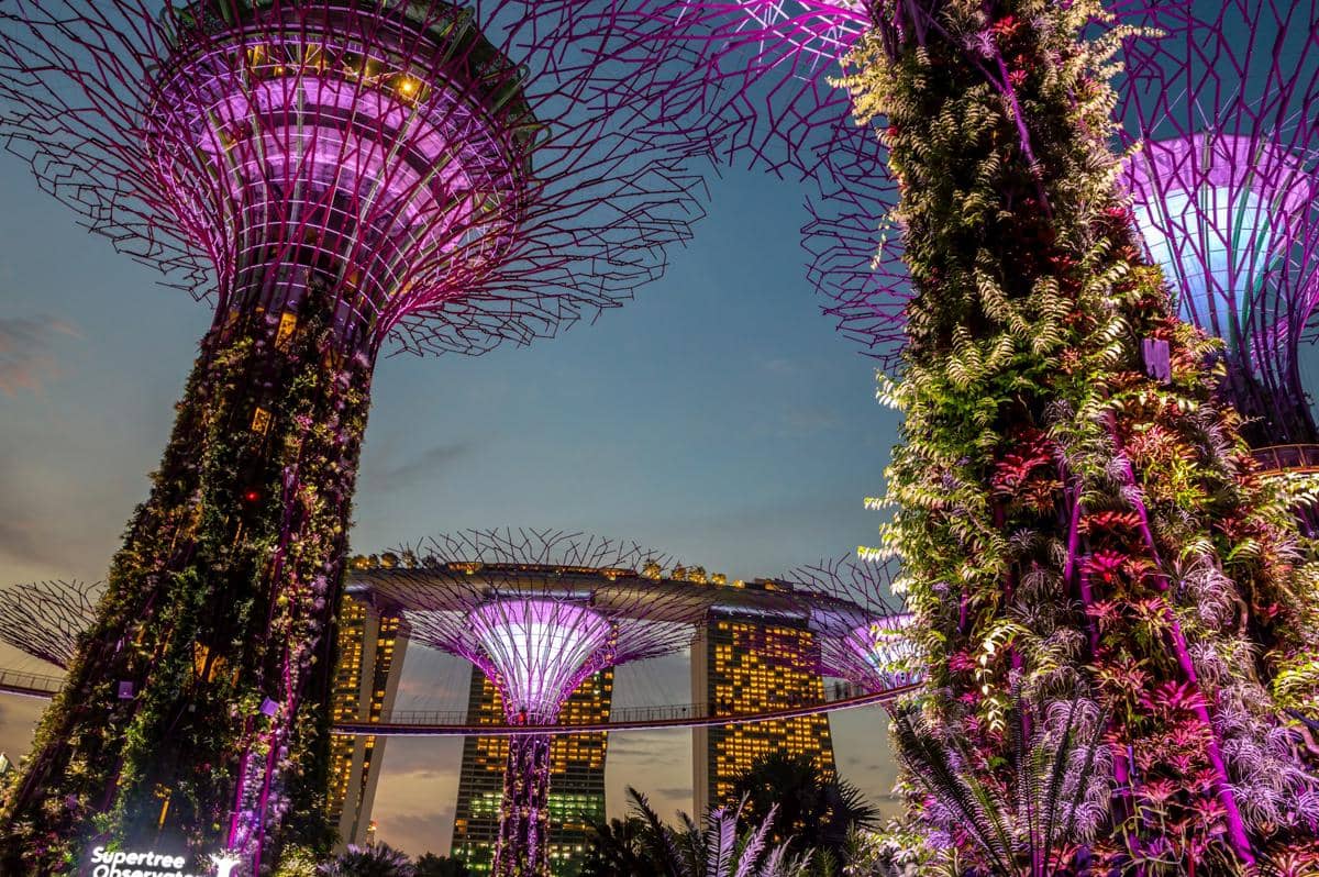 Gardens by the Bay, Singapura