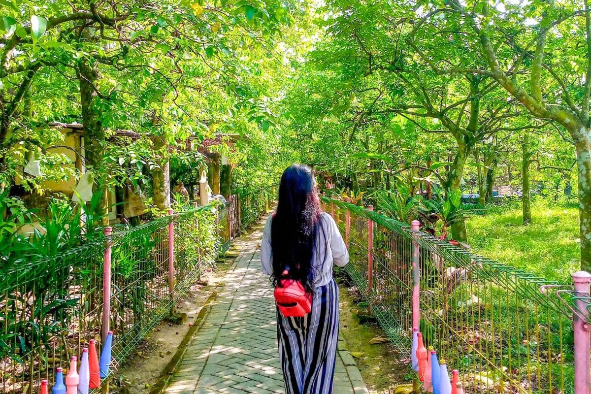 Agrowisata Kebun Belimbing Ngringinrejo, Bojonegoro