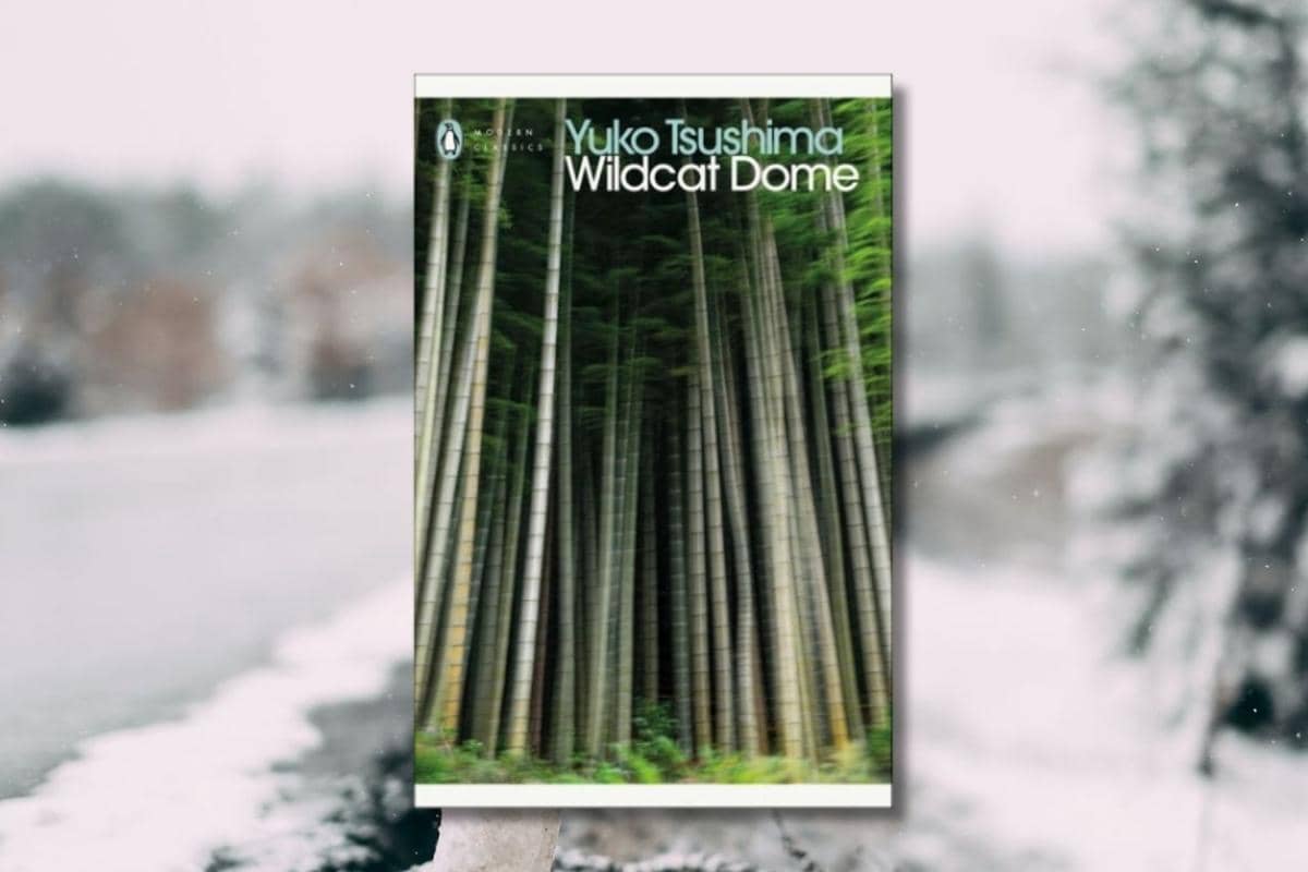 Wildcat Dome Yuko Tsushima