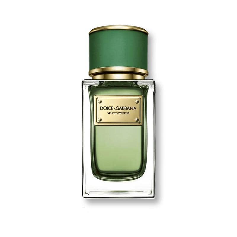 Dolce & Gabbana Velvet Cypress