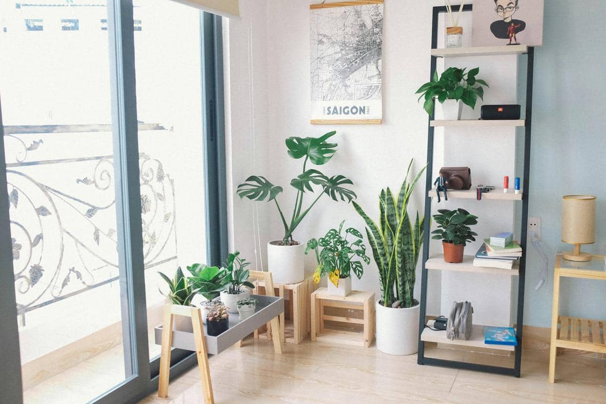 ilustrasi interior rumah dengan tanaman