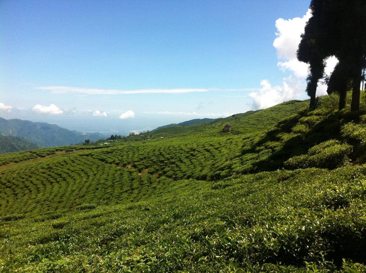 Ilam
