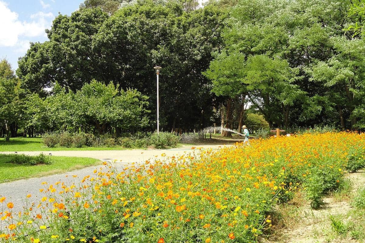 Nagai Botanical Garden
