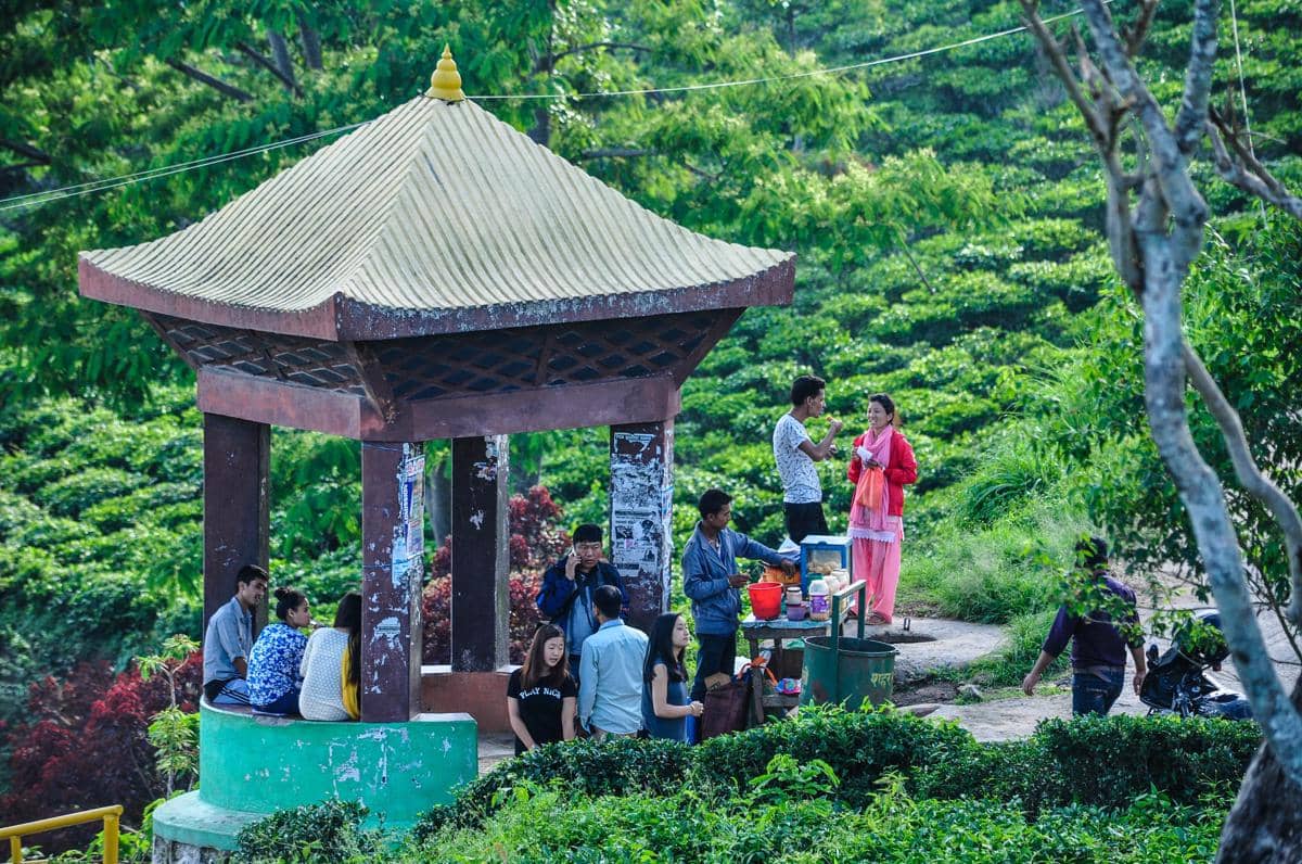 Kenapa Ilam Jadi Destinasi Favorit Pencinta Teh di Nepal?