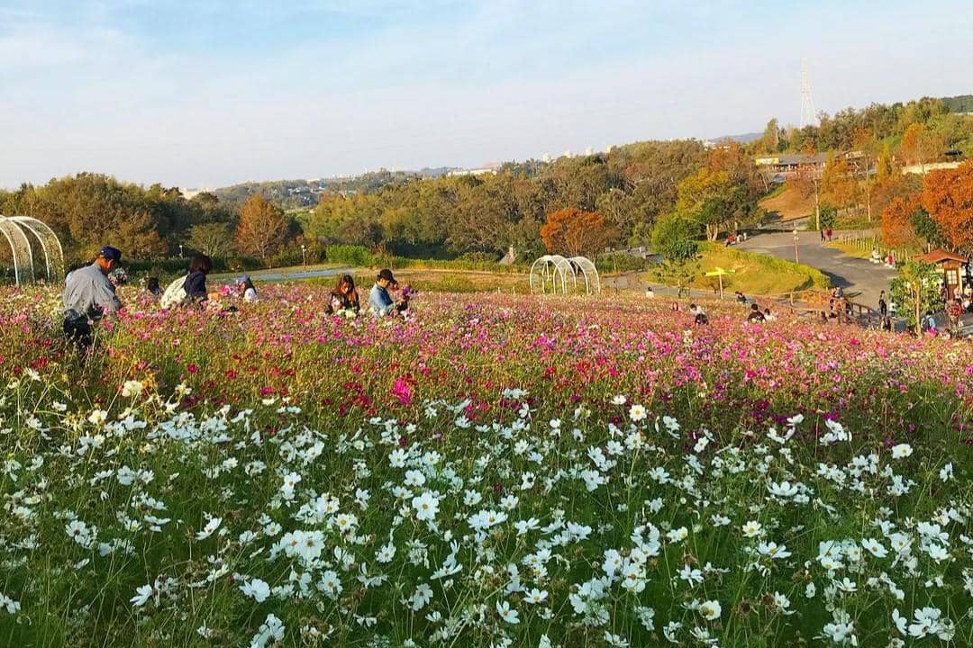 Sakai Green Museum Harvest Hill