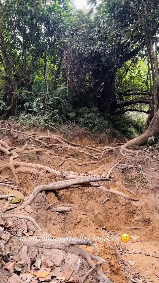 Bella Graceva mendaki Gunung Lawu via Cetho