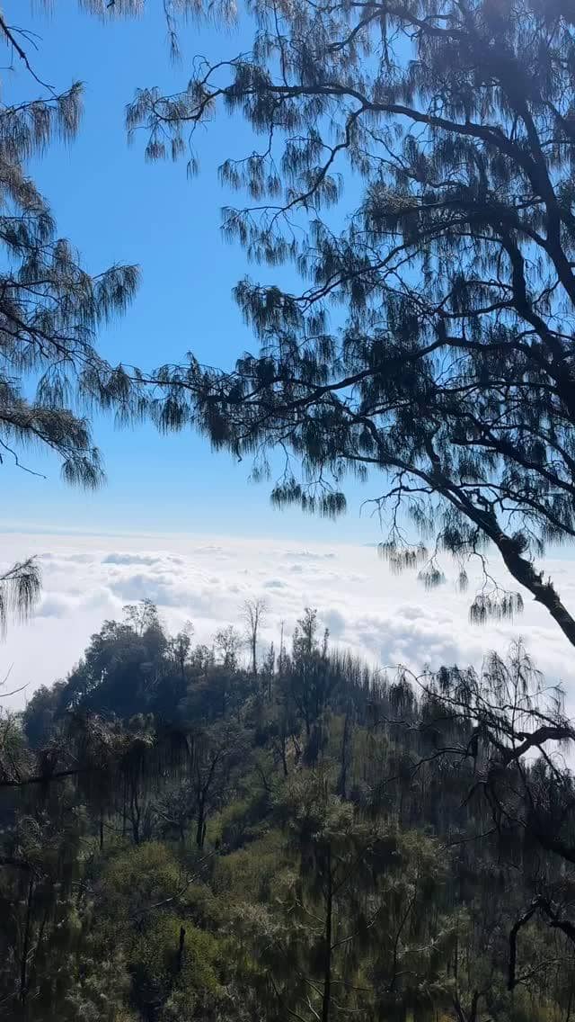 Bella Graceva mendaki Gunung Lawu via Cetho