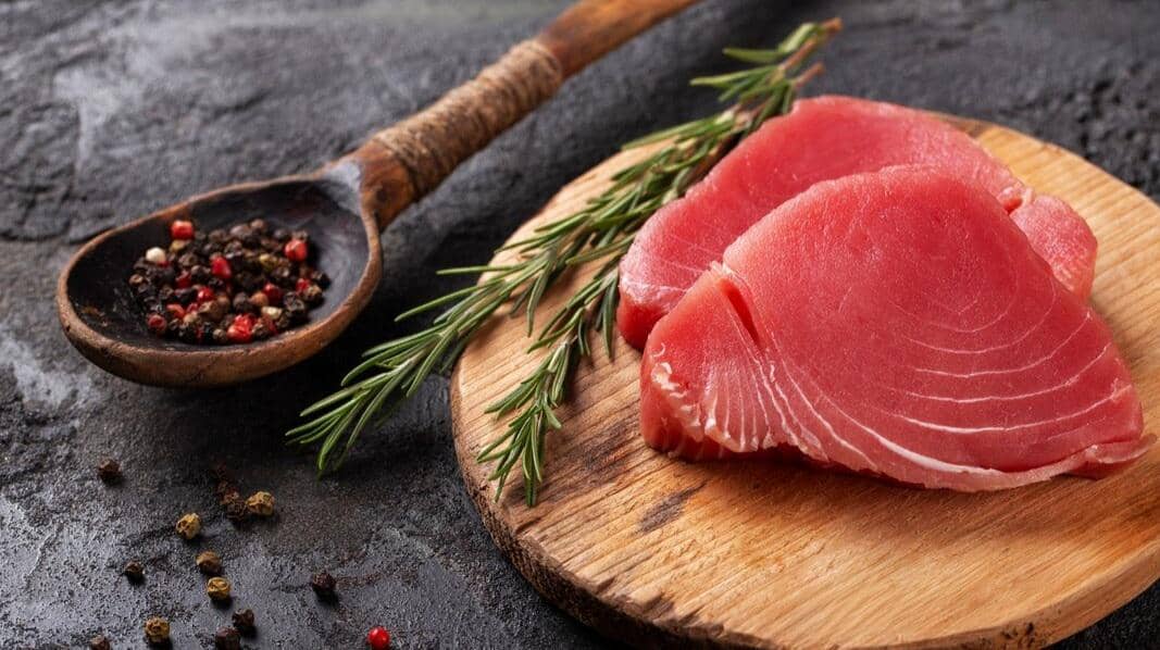 ilustrasi tuna fillet